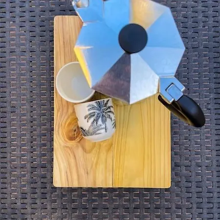 Oasis La Palmera
