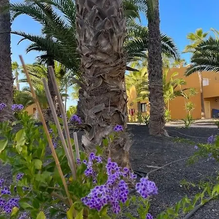 Lejlighed Oasis La Palmera *